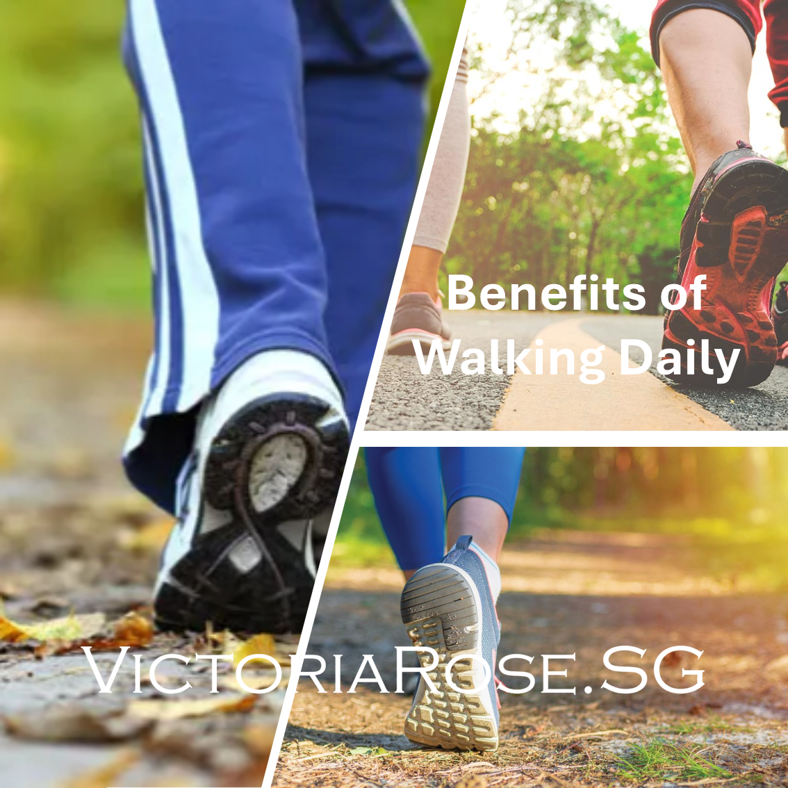 Benefits of Walking Daily β ShopVictoriaRose